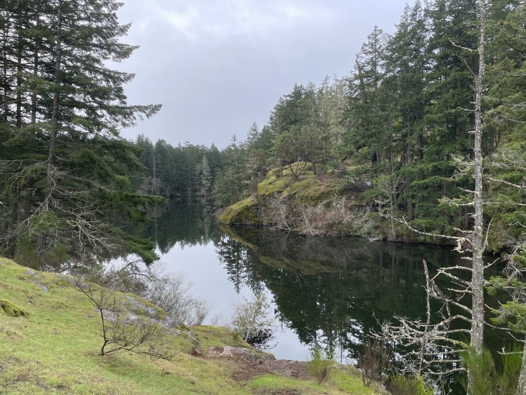 A calm lake surrounded by forest